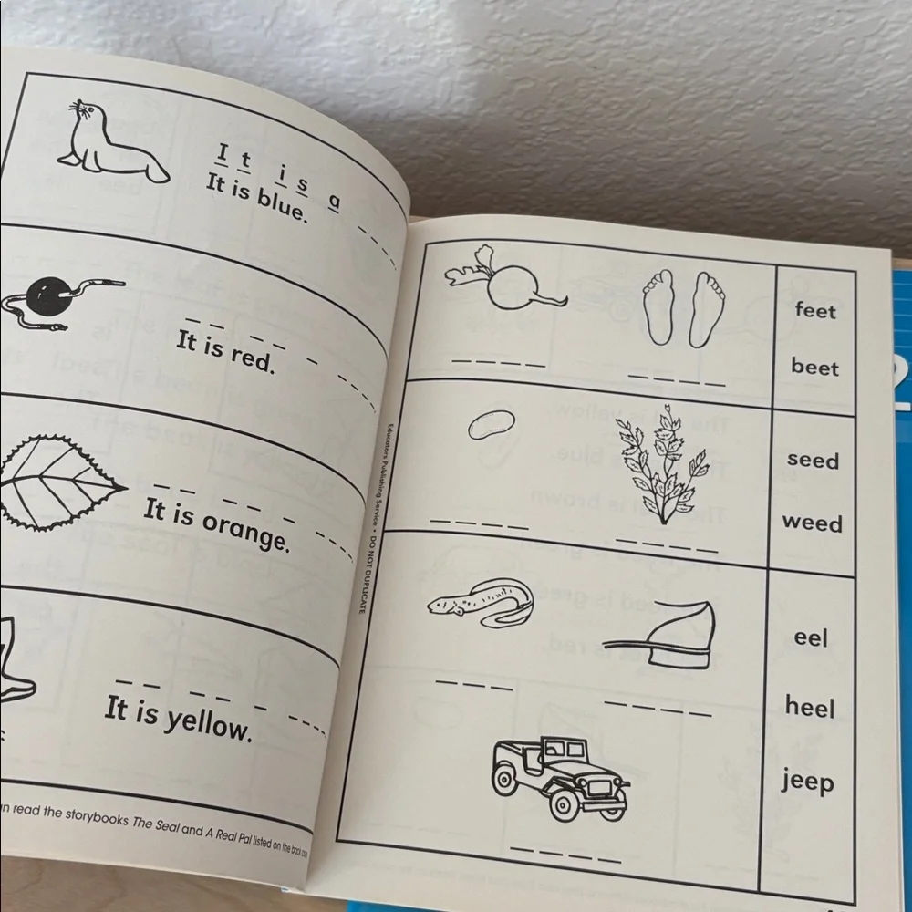 Primary Phonics Workbook 2  + Additional Practice - homeschool